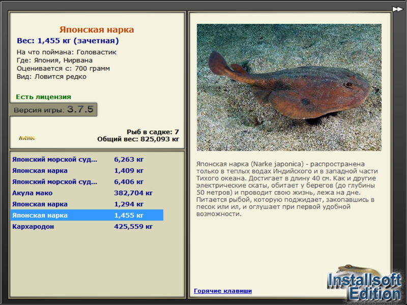 Нирвана 