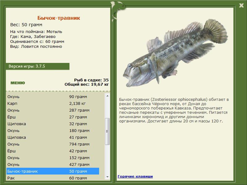 Забегаево 