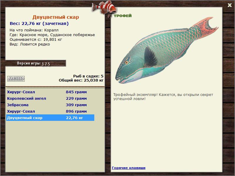 Двуцветный скар 