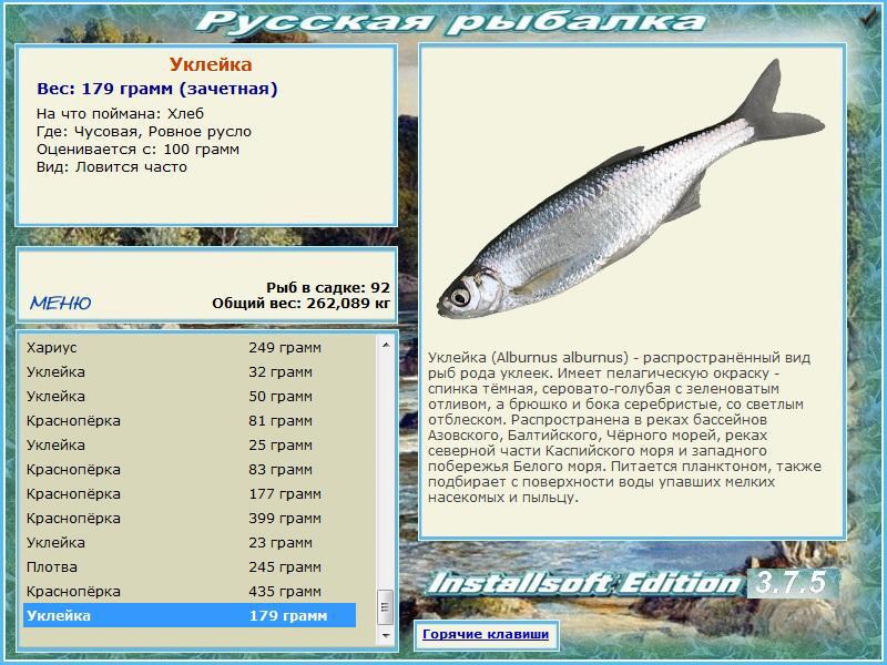 Ровное русло 