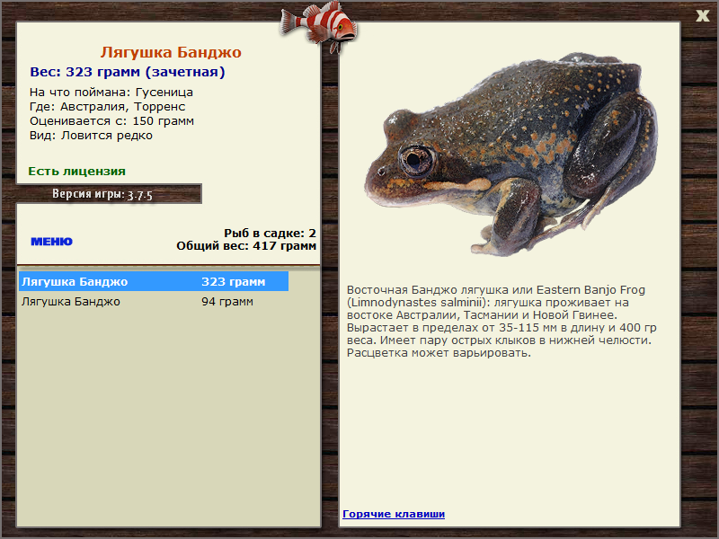 Торренс 
