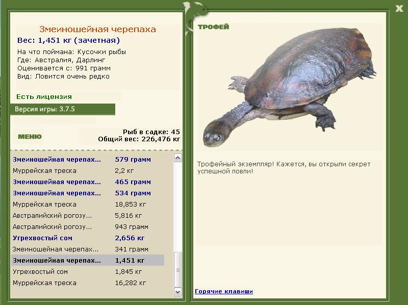 Змеиношейная черепаха 