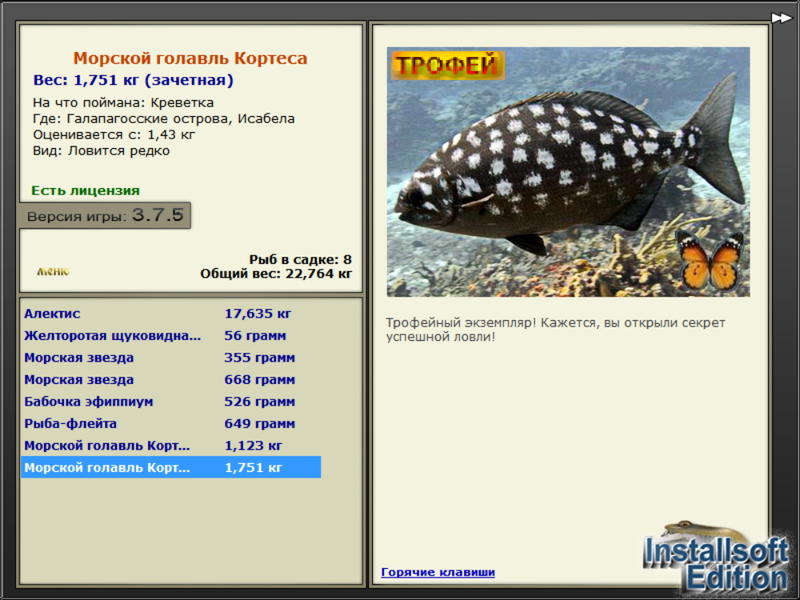 Морской голавль Кортеса 