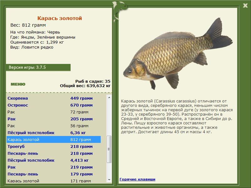 РУССКАЯ РЫБАЛКА Installsoft Edition 