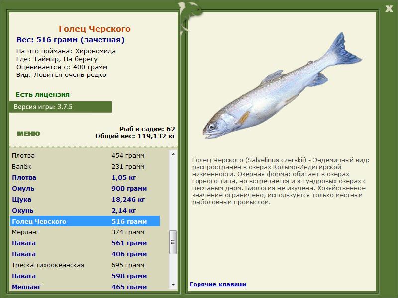 РУССКАЯ РЫБАЛКА Installsoft Edition 