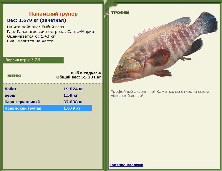 турниры • РУССКАЯ РЫБАЛКА