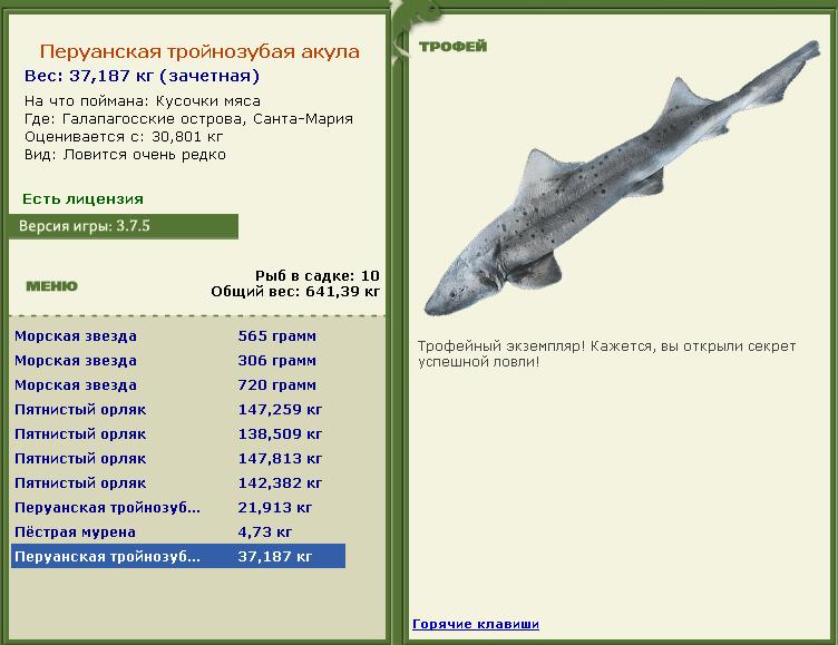турниры • РУССКАЯ РЫБАЛКА