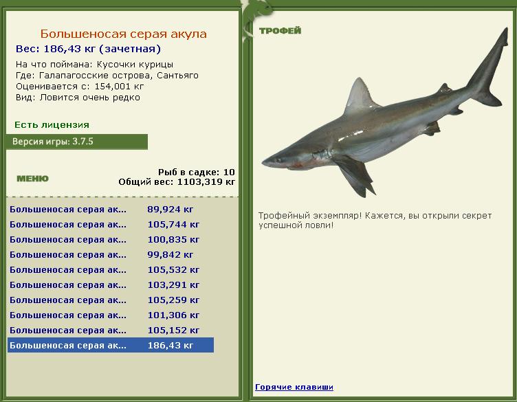 турниры • РУССКАЯ РЫБАЛКА