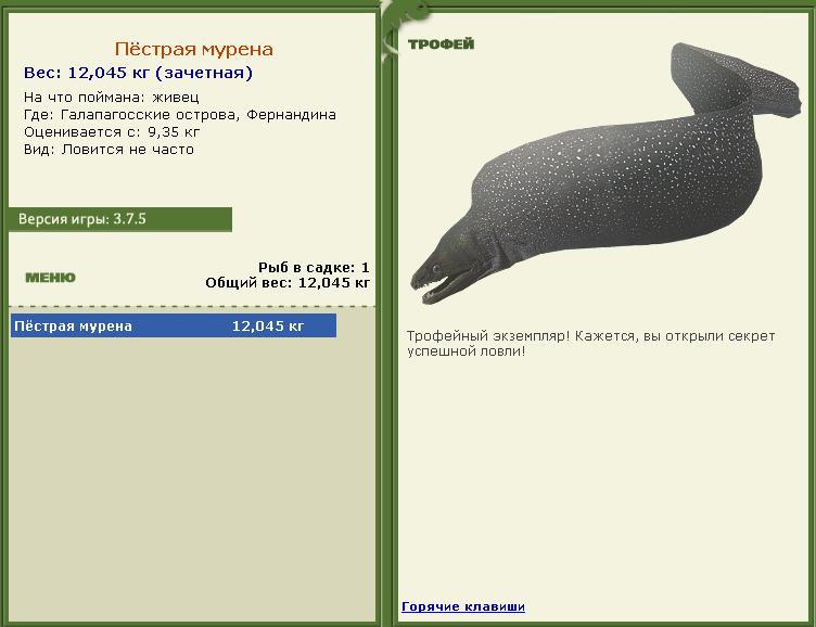 турниры • РУССКАЯ РЫБАЛКА