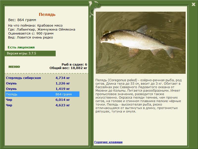 Жемчужина Оймякона 