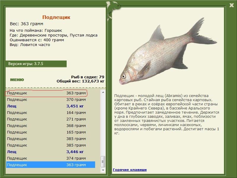 турниры • РУССКАЯ РЫБАЛКА