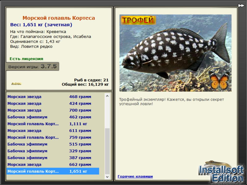 Морской голавль Кортеса 