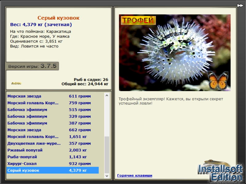 Серый кузовок 