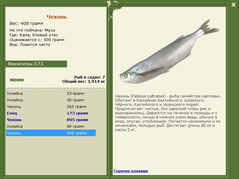 РУССКАЯ РЫБАЛКА Installsoft Edition 