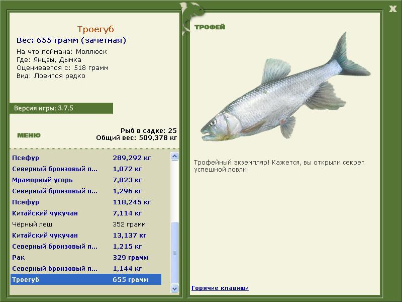 Троегуб 