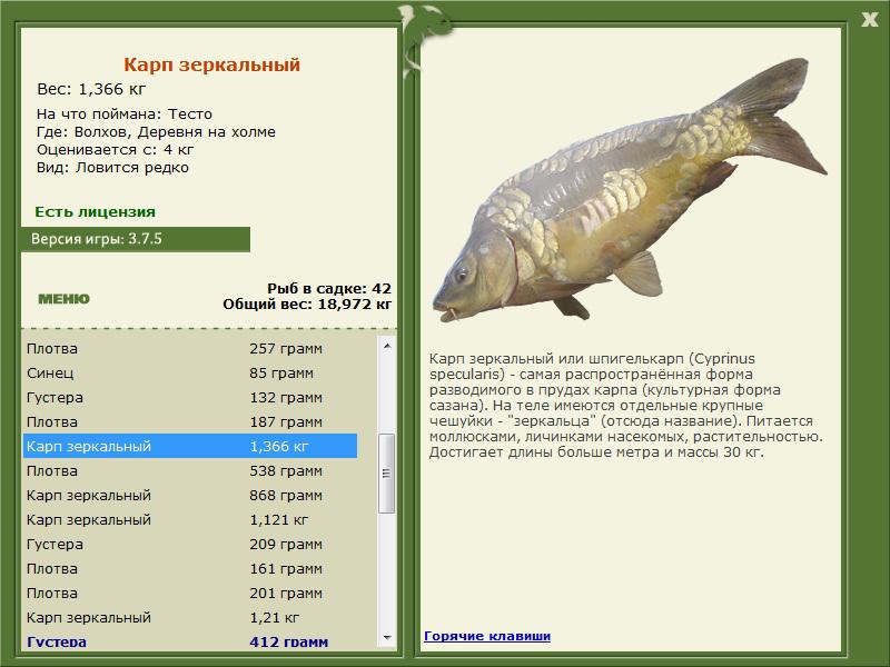 РУССКАЯ РЫБАЛКА Installsoft Edition 