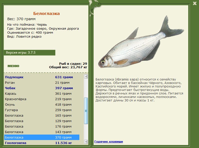Загадочное озеро 