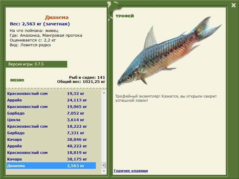 Мангровая протока 