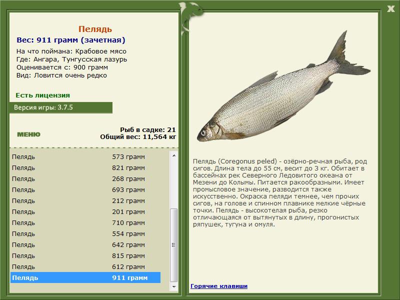 РУССКАЯ РЫБАЛКА Installsoft Edition 