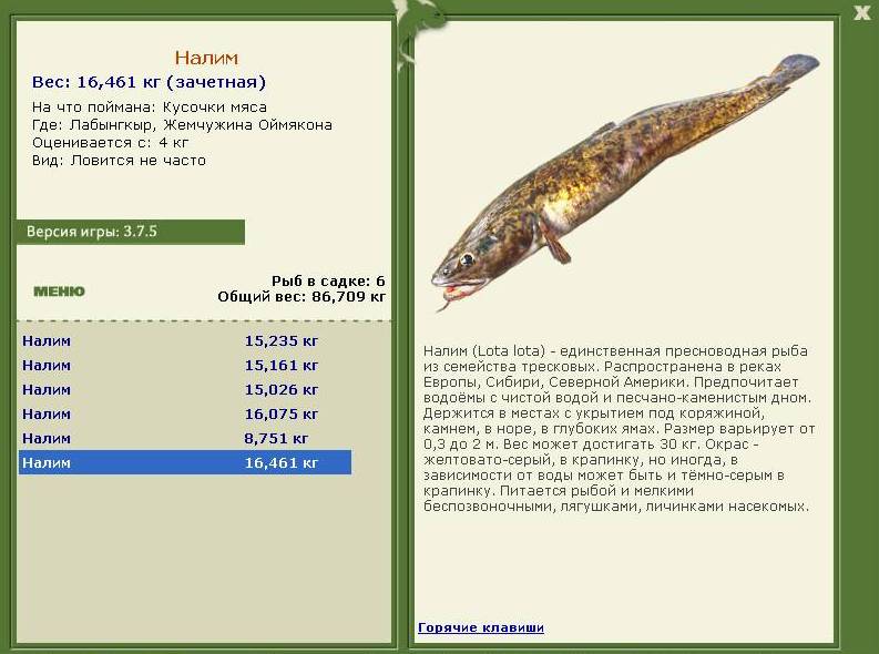 турниры • РУССКАЯ РЫБАЛКА
