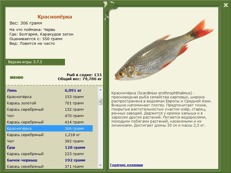 турниры • РУССКАЯ РЫБАЛКА