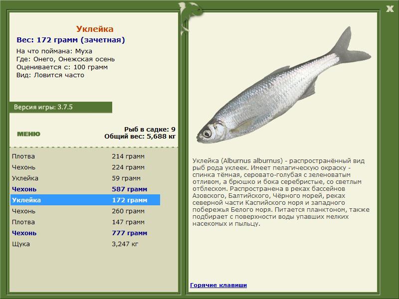 РУССКАЯ РЫБАЛКА Installsoft Edition 
