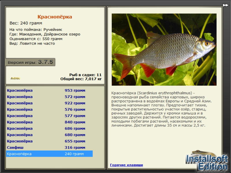 турниры • РУССКАЯ РЫБАЛКА