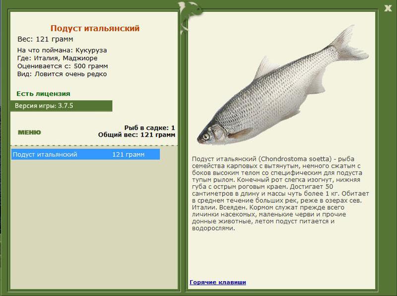 РУССКАЯ РЫБАЛКА Installsoft Edition 