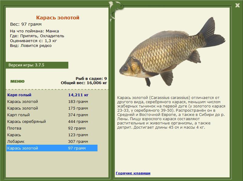 РУССКАЯ РЫБАЛКА Installsoft Edition 