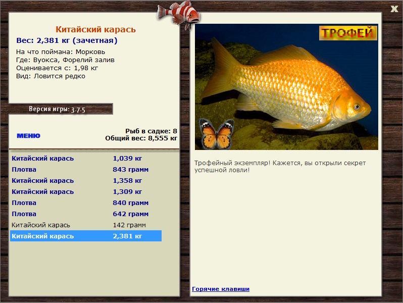 Морковь 