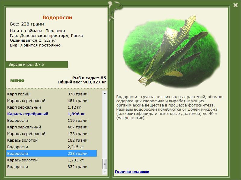 РУССКАЯ РЫБАЛКА Installsoft Edition 