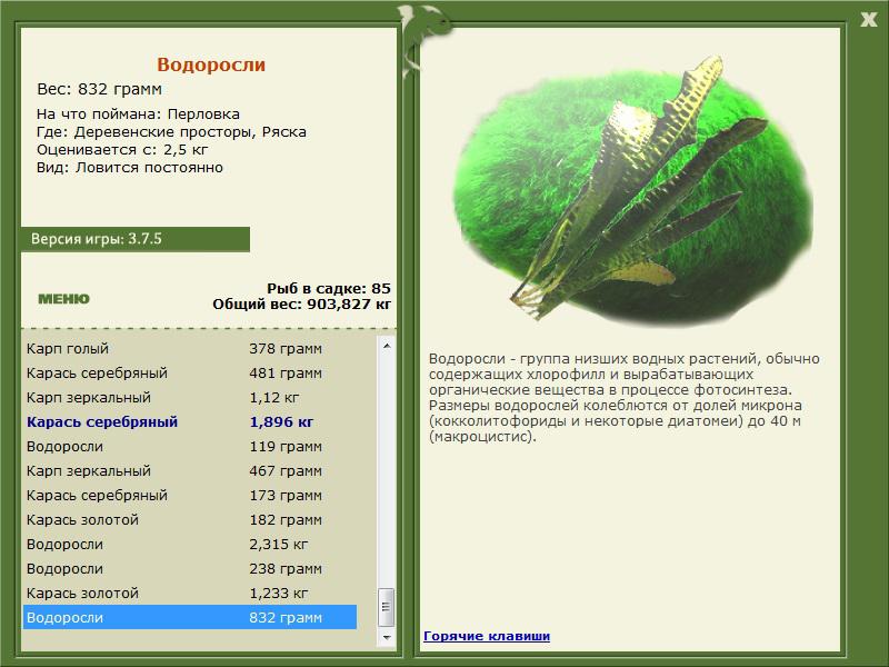 РУССКАЯ РЫБАЛКА Installsoft Edition 