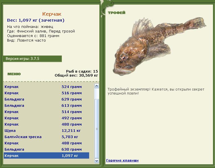 турниры • РУССКАЯ РЫБАЛКА
