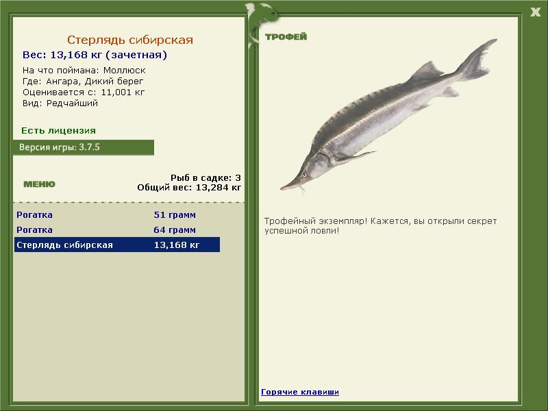 Дикий берег 