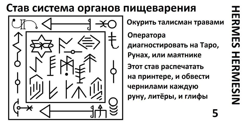  Став система органов пищеварения 5 145608659412913621