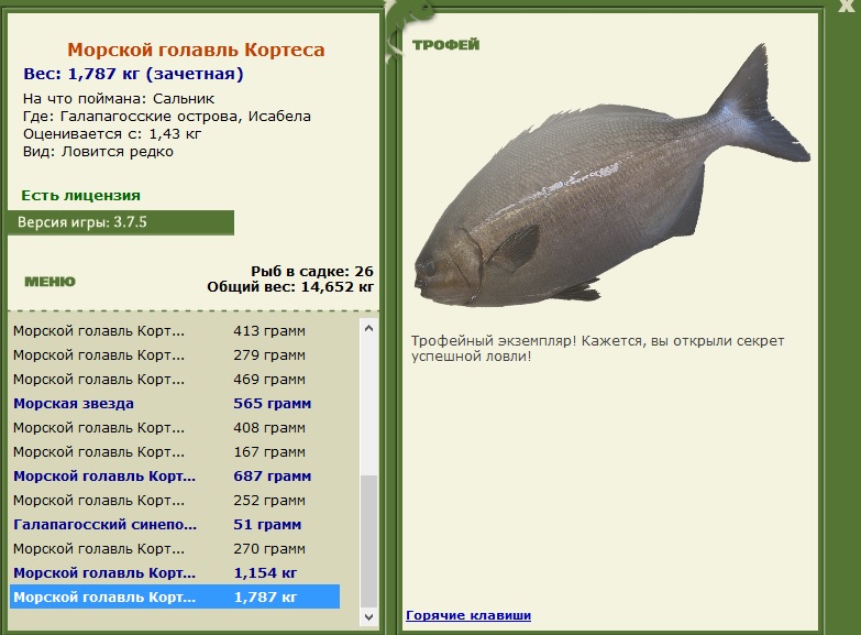Сальник 