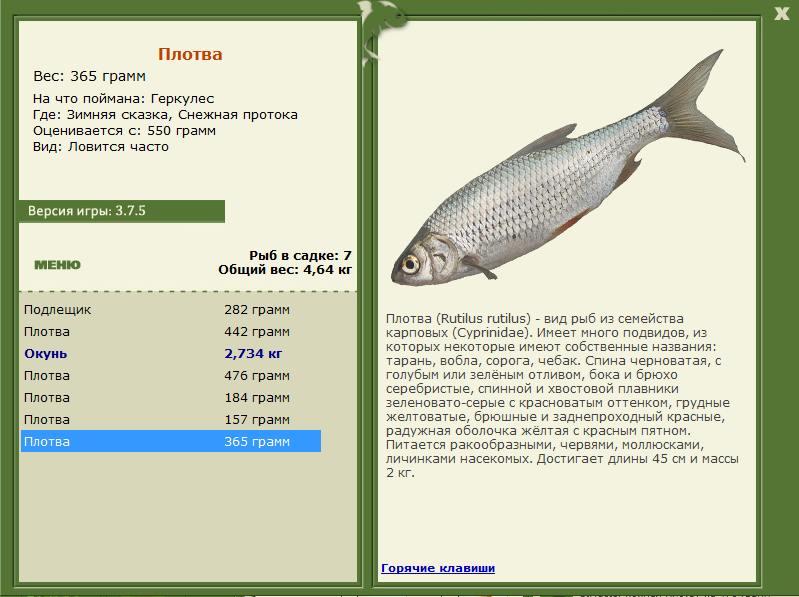 РУССКАЯ РЫБАЛКА Installsoft Edition 