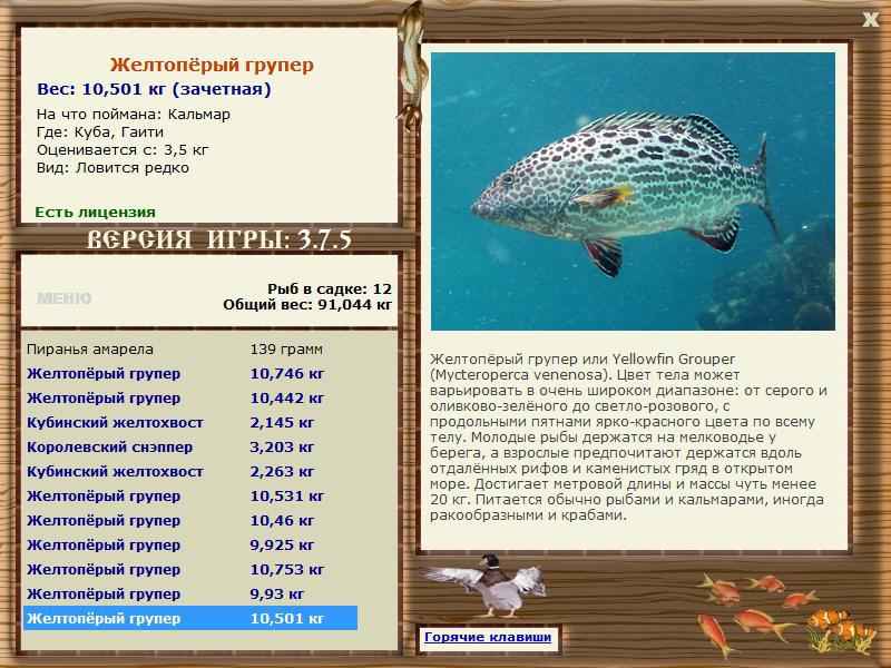 РУССКАЯ РЫБАЛКА Installsoft Edition 