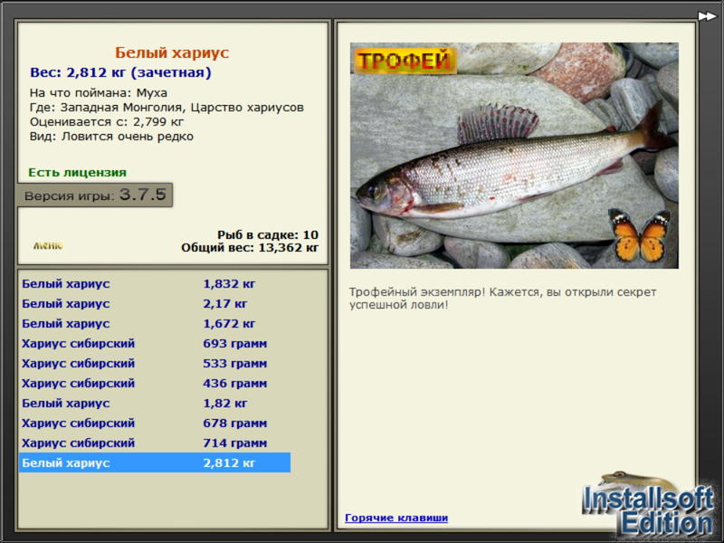 Белый хариус 