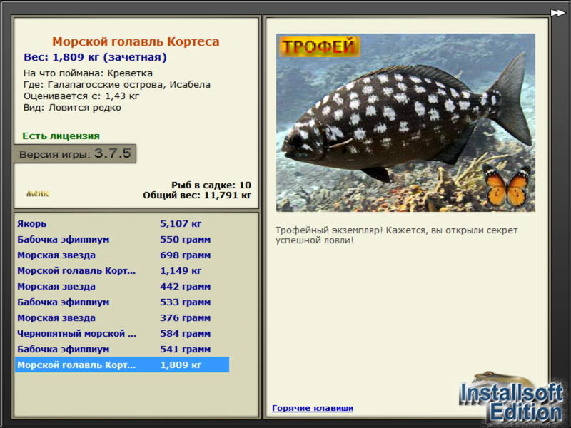 Морской голавль Кортеса 