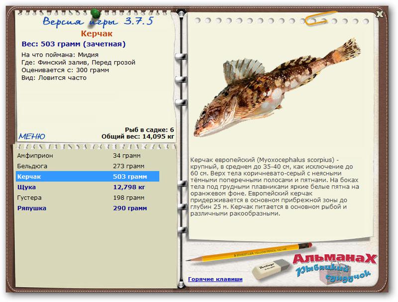 Финский залив 