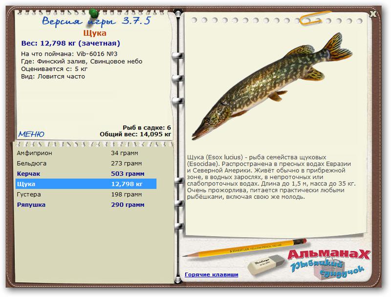 Финский залив 