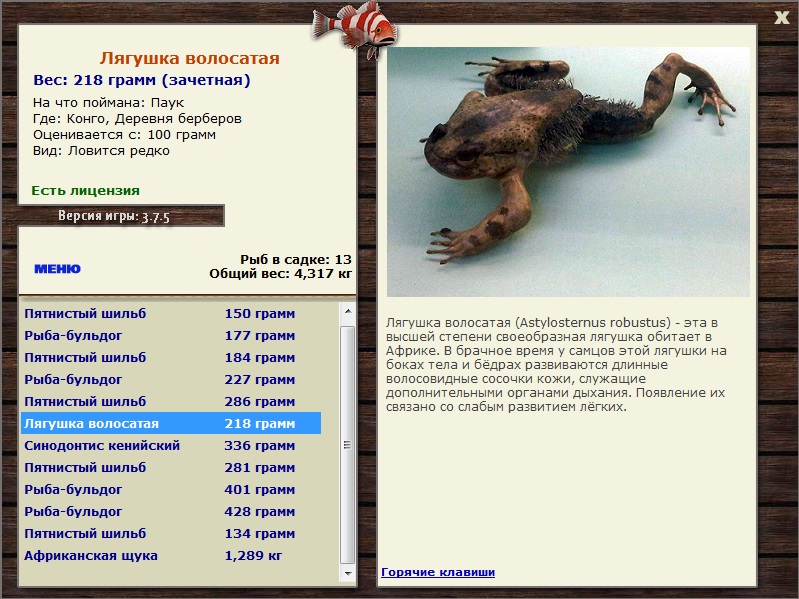 Деревня берберов 