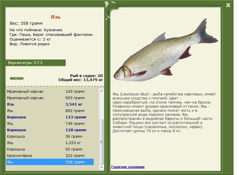 Берег спасовавшей фантазии 