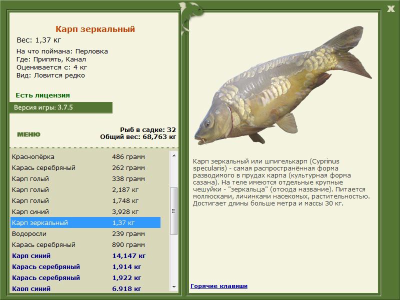 РУССКАЯ РЫБАЛКА Installsoft Edition 