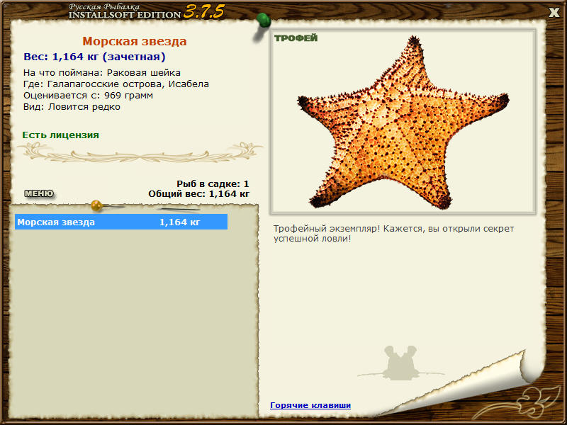 Морская звезда 