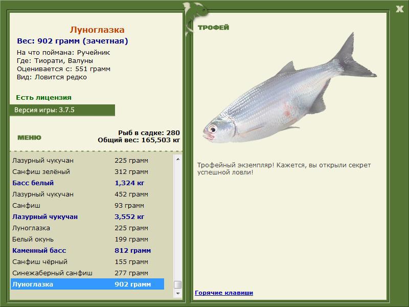 Луноглазка 
