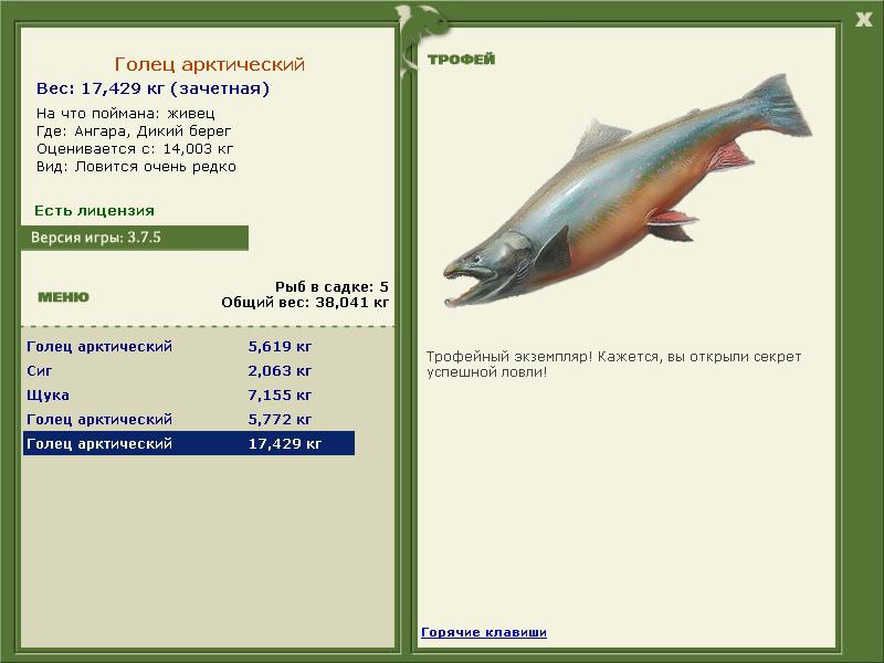 Дикий берег 