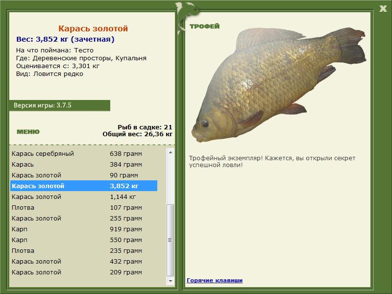Купальня 