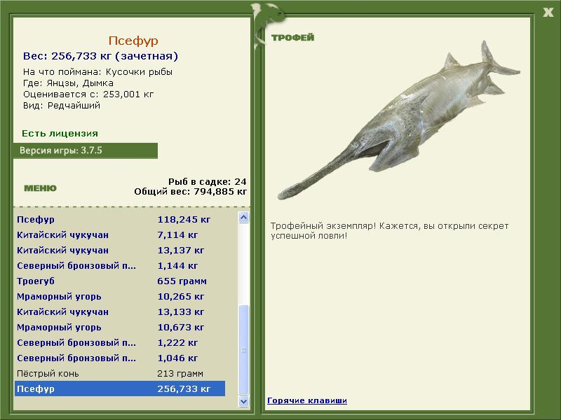 Псефур 